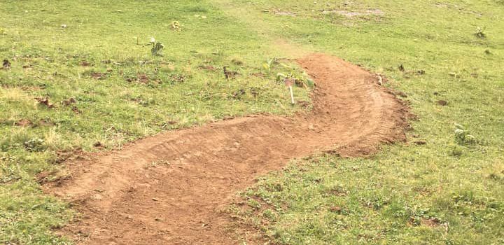 Leysin-Bike-Park-green-berms