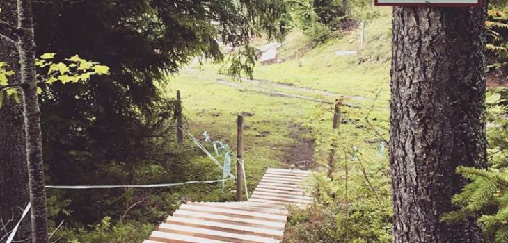 Leysin-Bike-Park-northshore-2