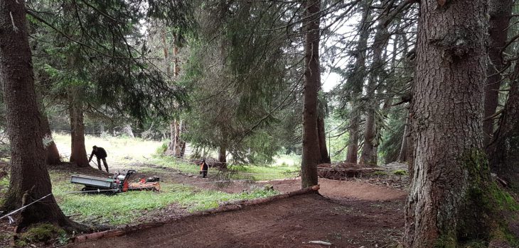 Leysin-Bike-Park-poteaux-woods