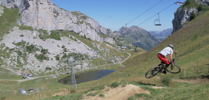 Leysin-Bike-Park-scrub-RE-berneuse
