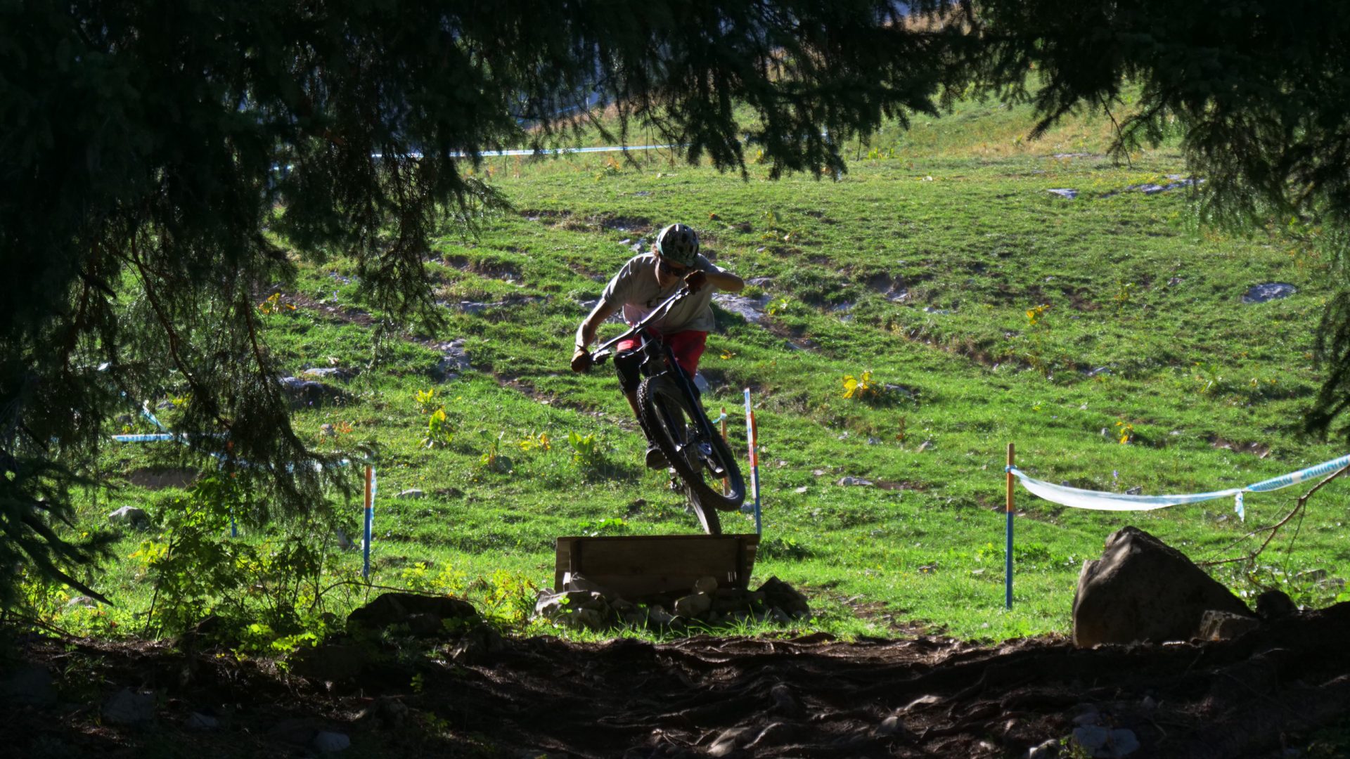 Leysin-Bike-Park-Jouxdai-woods